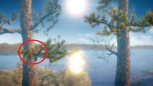 Przy trzeciej gałęzi u góry wyostrz wzrok - Poziom 2 - The Sea | Opis przejścia Unravel - Unravel - poradnik do gry