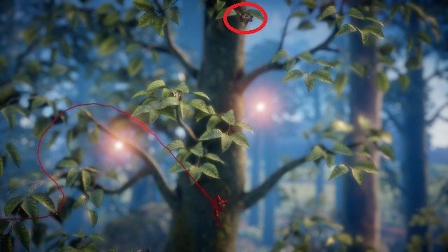 Trzeci guzik znajduje się mniej więcej w połowie wysokości drzewa na drugim planie - Poziom 11 - Last Leaf | Opis przejścia Unravel - Unravel - poradnik do gry