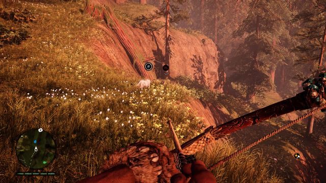 Szybkie drapieżniki ułatwiają polowanie, bez problemu doganiając uciekającą zwierzynę. - Polowanie na zwierzęta | Podstawy| Far Cry Primal - Far Cry Primal - poradnik do gry