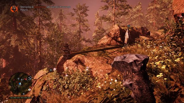 Rozstaw pułapki, które ułatwią walkę z tygrysem. - Krwawy Pazur | Polowania Władcy Zwierząt | Far Cry Primal - Far Cry Primal - poradnik do gry