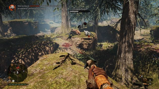 Gdy zwierzę walczy z przywódcą Ty z bezpiecznej odległości miotaj pociskami. - Czerwone Śniegi | Polowania Władcy Zwierząt | Far Cry Primal - Far Cry Primal - poradnik do gry