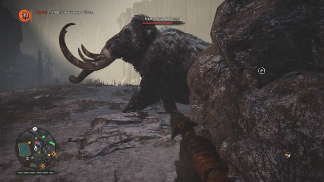 Biegając wokół skały utrudniasz mamutowi trafienie Takkara. - Krwawy Cios | Polowania Władcy Zwierząt | Far Cry Primal - Far Cry Primal - poradnik do gry
