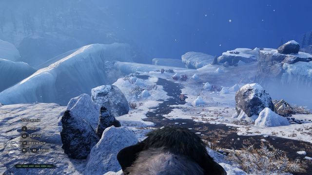 Wzdłuż drogi możesz zepchnąć kilka głazów, które zabiją biegnące zwierzęta. - Zwierzęcy pojedynek | Legenda Mamuta | Far Cry Primal - Far Cry Primal - poradnik do gry
