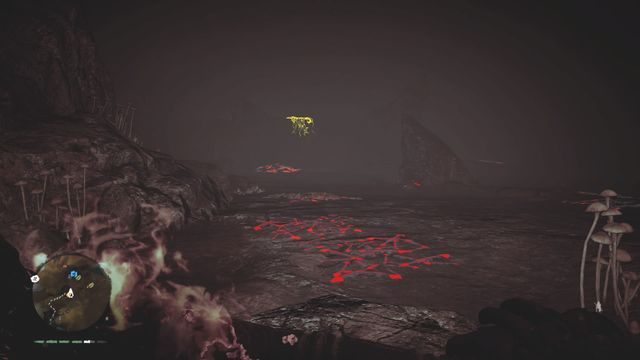 Tam znajdziesz ślady, które poprowadzą do kupki z zasobami znajdującej się kawałek dalej - Schowki myśliwego | Schowki myśliwego i przedmioty kolekcjonerskie - Far Cry Primal - poradnik do gry