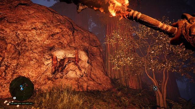 Ten rysunek znajdziesz obok dużego drzewa - Schowki myśliwego | Schowki myśliwego i przedmioty kolekcjonerskie - Far Cry Primal - poradnik do gry