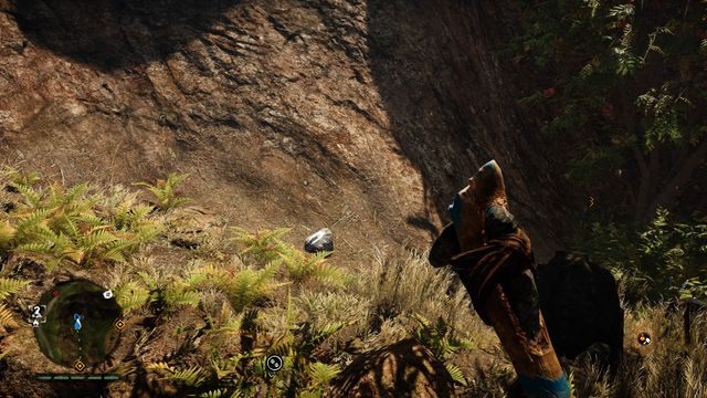 Najczęściej spotykany rodzaj przedmiotu - Przedmioty kolekcjonerskie | Schowki myśliwego i przedmioty kolekcjonerskie - Far Cry Primal - poradnik do gry