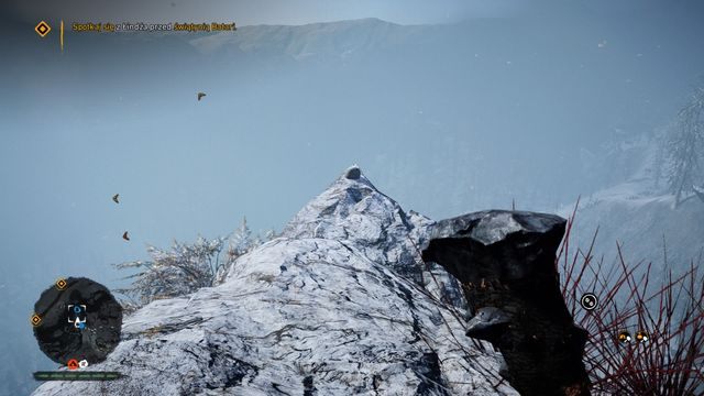 Na wysuniętej półce skalnej - Ręce Daiszy 11-20 | Północne Oros | Far Cry Primal - Far Cry Primal - poradnik do gry