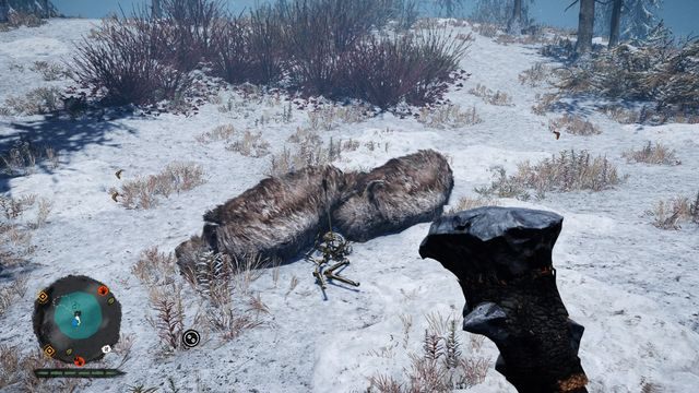 Znajduje się w okolicy środka na obszarze poszukiwań, przy szkielecie z wbitą strzałą - Manele Łindźa | Północne Oros | Far Cry Primal - Far Cry Primal - poradnik do gry