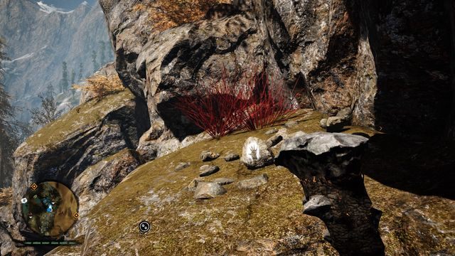 Na półce skalnej, mniej więcej w połowie drogi na szczyt - Ręce Daiszy 11-20 | Centralne Oros | Far Cry Primal - Far Cry Primal - poradnik do gry