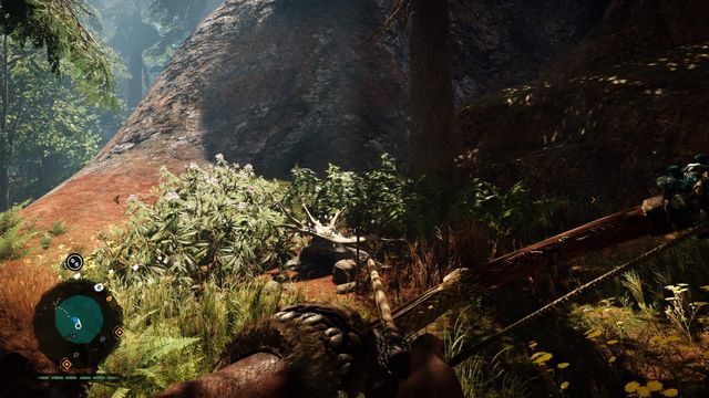 Leży u podnóża masywu skalnego, pod jednym z wysokich drzew - Manele Łindźa | Centralne Oros | Far Cry Primal - Far Cry Primal - poradnik do gry