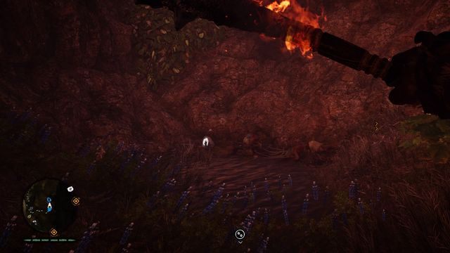 Przejdź do środka, gdzie na końcu znajdziesz ten przedmiot kolekcjonerski - Ręce Daiszy | Południowe Oros | Far Cry Primal - Far Cry Primal - poradnik do gry