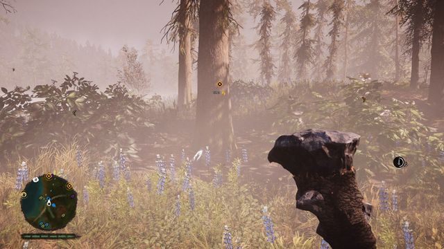 Pod drzewem, przy brzegu jeziora - Ręce Daiszy | Południowe Oros | Far Cry Primal - Far Cry Primal - poradnik do gry