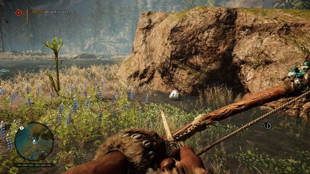 Przy dużym kamieniu, zaraz obok ścieżki - Ręce Daiszy | Południowe Oros | Far Cry Primal - Far Cry Primal - poradnik do gry