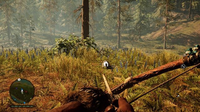 Na środku wysepki - Ręce Daiszy | Południowe Oros | Far Cry Primal - Far Cry Primal - poradnik do gry