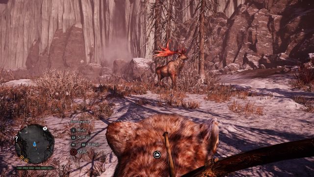 Rzadkie okazy wyróżniają się na tle podstawowych zwierząt. - Jak znaleźć rzadkie zwierzęta? | Pytania i odpowiedzi| Far Cry Primal - Far Cry Primal - poradnik do gry