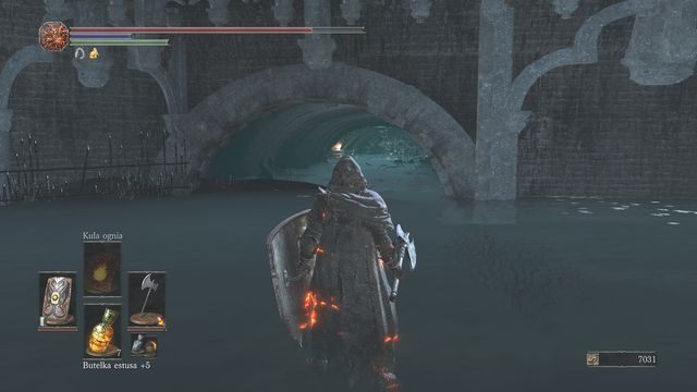 Kolejny raz Siegwarda możesz spotkać w ściekach, znajdujących się w dolnej części lokacji - Siegward (Siegward of Catarina) | Questy i NPC w Dark Souls 3 - Dark Souls III - opis przejścia i sekrety