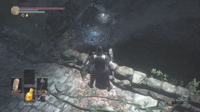 Zeskocz na dół, aby zebrać przedmioty. - Ofiarna Droga | Opis przejścia Dark Souls 3 - Dark Souls III - opis przejścia i sekrety