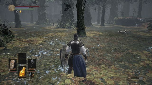 Zbadaj bagno i zbierz resztę przedmiotów. - Ofiarna Droga - bagno | Opis przejścia Dark Souls 3 - Dark Souls III - opis przejścia i sekrety