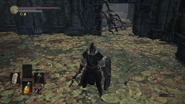 Przedmiotów broni tutaj oszalały ghoul. - Ofiarna Droga - bagno | Opis przejścia Dark Souls 3 - Dark Souls III - opis przejścia i sekrety