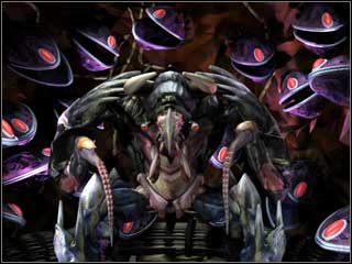 Tachidi - Rasy insektoidalne (Klackon, Tachidi) | Master of Orion III - Master of Orion III - poradnik do gry