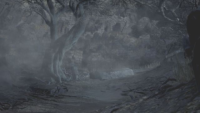 Dark Souls III zgodnie z poprzednimi odsłonami serii jest grą wymagającą, w której w przypadku większości starć bardzo ważne jest odpowiednie podejście do przeciwnika oraz wykorzystanie jego słabych punktów - 2. Porady na start w Dark Souls 3 - Dark Souls III - opis przejścia i sekrety