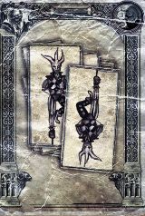 Sposób zdobycia: Na poziomie bonusowym: Fabryka (Factory), dostępnym po ukończeniu fabuły, zabij 30 przeciwników w trybie demona - Karty czarnego tarota | Sekrety i osiągnięcia Painkiller Hell and Damnation - Painkiller Hell & Damnation - poradnik do gry