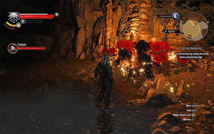 Podpalaj kolejne rośliny - Jeśli nie chcesz mojej zguby... - kontrakt na Grotnika | Kontrakty wiedźmińskie i poszukiwania skarbów - Wiedźmin 3: Krew i wino - poradnik do gry