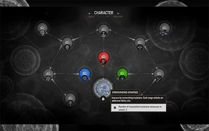 Menu mutacji - Mutacje - jak je odblokować i jak działają? | Nowości w dodatku Krew i wino - Wiedźmin 3: Krew i wino - poradnik do gry