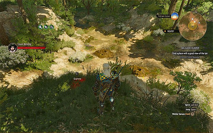 Wkrótce dotrzecie do legowiska skolopendromorfów - Beauclairskie safari | Kontrakty wiedźmińskie i poszukiwania skarbów Wiedźmin - Wiedźmin 3: Krew i wino - poradnik do gry