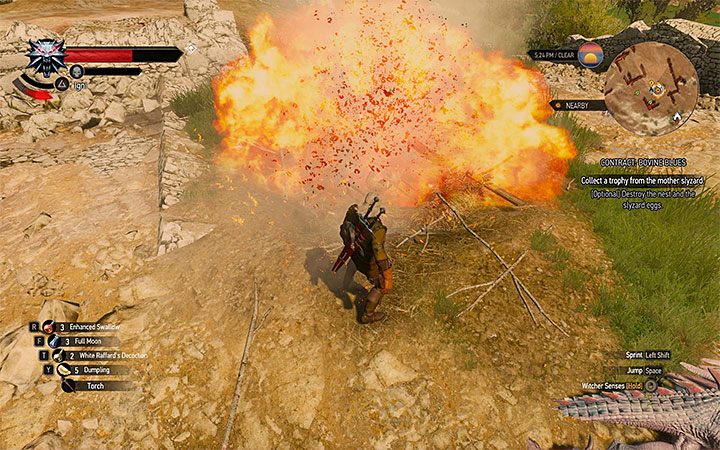Możesz podpalić jaja żeby ukończyć poboczny cel misji - Łaciate kłopoty | Kontrakty wiedźmińskie i poszukiwania skarbów Wiedźmin - Wiedźmin 3: Krew i wino - poradnik do gry