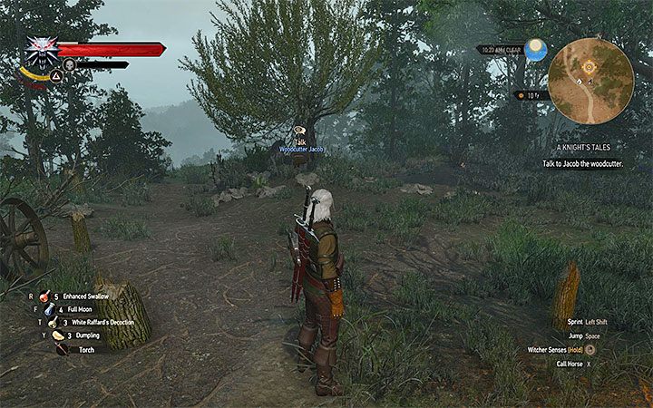 Jacob będzie stał przy drzewie - O damie i jej rycerzu - quest dziewczyny zaklętej w drzewie | Zadania poboczne - Wiedźmin 3: Krew i wino - poradnik do gry