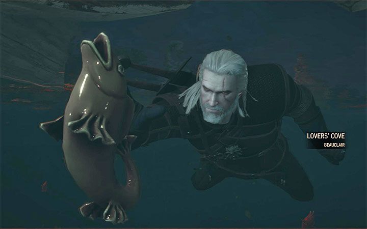 Poszukiwana rybka - Bestia z Toussaint | Główne zadania | Solucja Wiedźmin Krew i Wino - Wiedźmin 3: Krew i wino - poradnik do gry