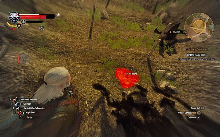 Miejsce zasadzenia fasolek - Dawno, dawno temu... - quest odnalezienia Syanny | Główne zadania Wiedźmin - Wiedźmin 3: Krew i wino - poradnik do gry
