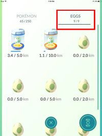 Podczas gry zdobyć można jaja Pokemonów - odwiedzając jeden z Pokestopów - Pokemon GO: Jajka i wykluwające się Pokemony - Pokemon GO - poradnik do gry