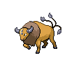 Australia - Pokemon GO: Rzadkie i specjalne Pokemony - Pokemon GO - poradnik do gry
