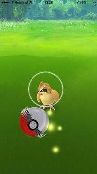 Choć premie doświadczenia nie są aż tak wielkie, to potrafią i tak swoje zdziałać - Pokemon GO: Jak tropić i łapać Pokemony? - Pokemon GO - poradnik do gry