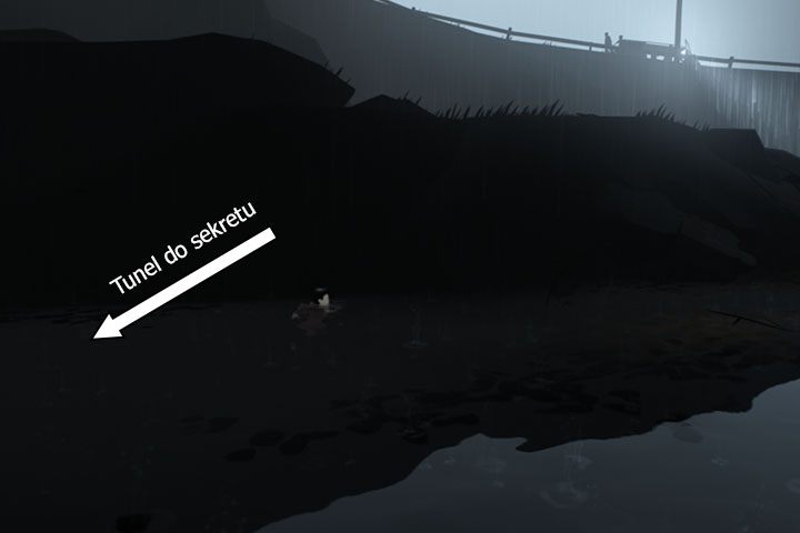 Teraz dalej uciekaj przed człowiekiem w masce (uważaj na kolejną kłodę) aż zeskoczysz ze skarpy - Las | Opis przejścia | Inside - Inside - poradnik do gry