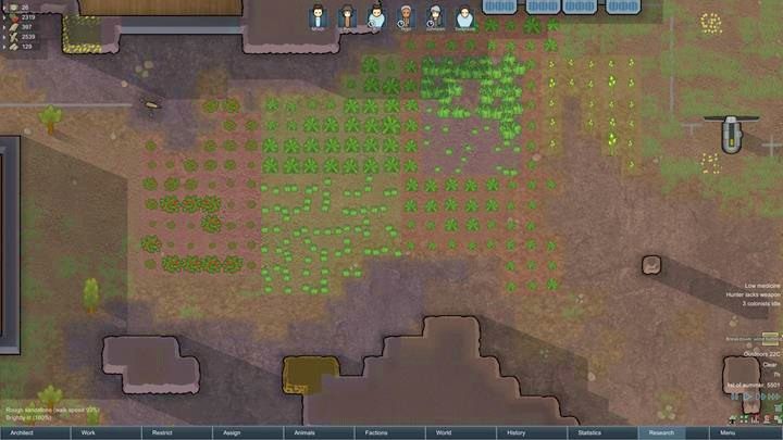 Zainwestuj w różne plony - Gromadzenie jedzenia | Podstawy życia w kolonii w RimWorld - RimWorld - poradnik do gry