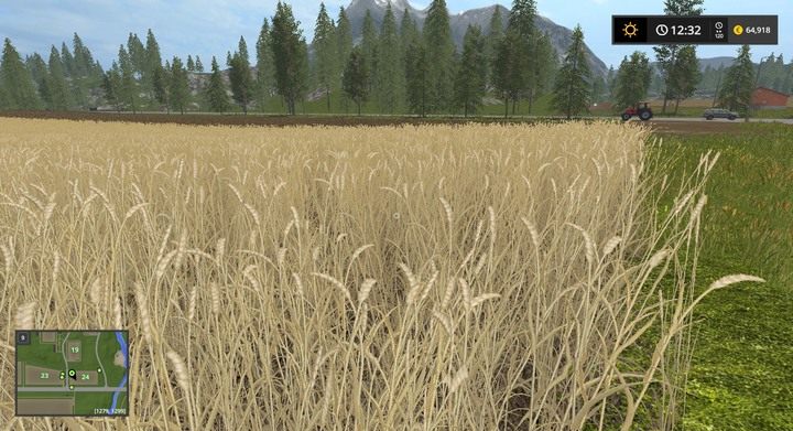 Pszenica gotowa do zbioru - Zboża, ziarna i słoma w Farming Simulator 17 | Informacje o uprawach - Farming Simulator 17 - poradnik do gry