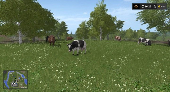 Trawa jest pokarmem dla krów i owiec - Trawa, siano i kiszonka w Farming Simulator 17 | Informacje o uprawach - Farming Simulator 17 - poradnik do gry