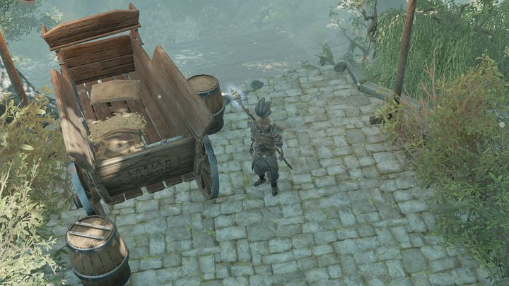 Zaleksara znajdziesz w Hollow Marshes - Zadanie Sebille | Zadania towarzyszy w Divinity Original Sin 2 - Divinity Original Sin 2 - poradnik do gry