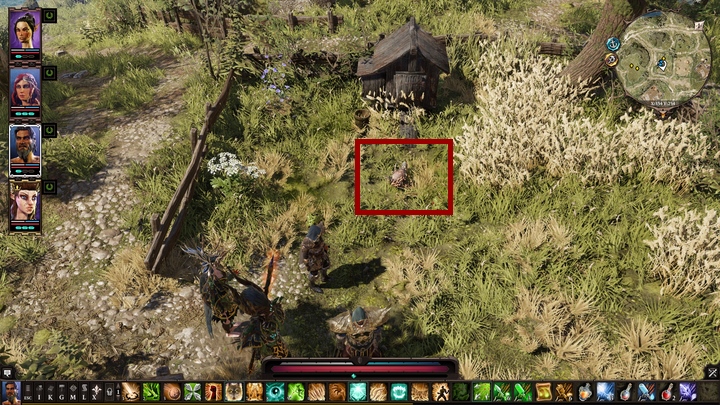 Na Łąkach natrafisz na ptaka o imieniu Ferno, który jest dotknięty dziwną chorobą - Paskudne ptaszysko | Wybrzeże żniwiarza | Solucja Divinity Original Sin 2 - Divinity Original Sin 2 - poradnik do gry