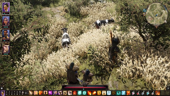 Porozmawiaj z nimi, a dowiesz się, że są to ludzie, którzy zostali zamienienie, w krowy - Potraktowani jak bydło | Wybrzeże Żniwiarza | Solucja Divinity Original Sin 2 - Divinity Original Sin 2 - poradnik do gry