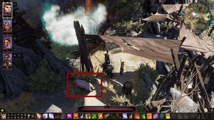 W Sanktuarium Amadii porozmawiaj ponownie z Feder - Płonące świnie (The Burning Pig) | Fort Radość | Solucja Divinity Original Sin 2 - Divinity Original Sin 2 - poradnik do gry