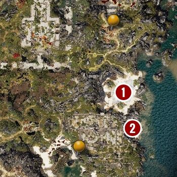 1 - Oczyszczony smok (The Purged Dragon) | Fort Radość | Solucja Divinity 2 - Divinity Original Sin 2 - poradnik do gry