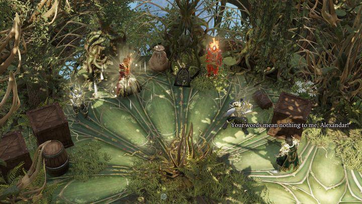 Zaproponuje ci on pomoc w dotarciu do Akademii w zamian za zabicie Sallow Man - Boski wybraniec | Fort Radość | Solucja Divinity Original Sin 2 - Divinity Original Sin 2 - poradnik do gry