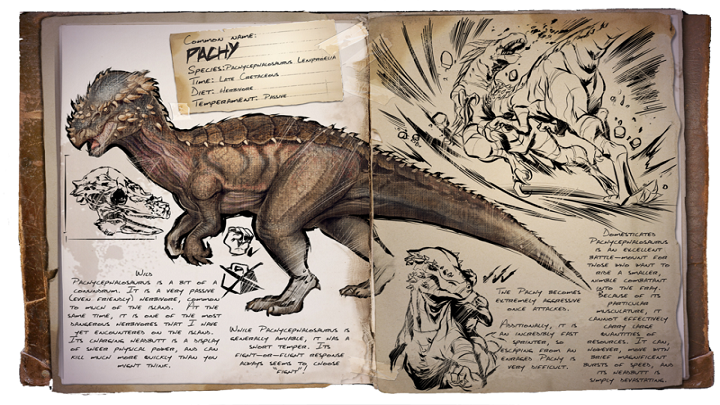 Pachy jest dinozaurem, który za pomocą swojej twardej głowy jest w stanie ogłuszyć przeciwnika - ARK: Dinozaury pomagające w oswajaniu - najbardziej przydatne - ARK Survival Evolved - poradnik do gry