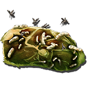 Spoiled Meat - ARK: Oswajanie - podstawy - ARK Survival Evolved - poradnik do gry