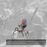 Megarachnid - Bestiariusz | Podstawy Shadow Warrior 2 - Shadow Warrior 2 - poradnik do gry