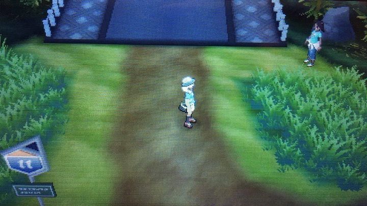 No to czas się wybrać na kolejną próbę! - Route 11, Route 12 z Blush Moutain i Route 13 z Tapu Village | Pokemon Sun - Pokemon Sun - poradnik do gry